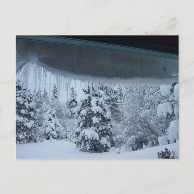 Winter Wonderland Postcard (Front)