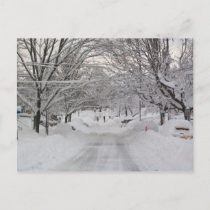 Winter Wonderland Postcard
