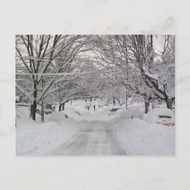 Winter Wonderland Postcard (Front)