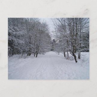 Winter wonderland postcard