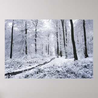 Winter Wonderland Poster
