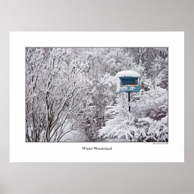 Winter Wonderland Poster (Front)
