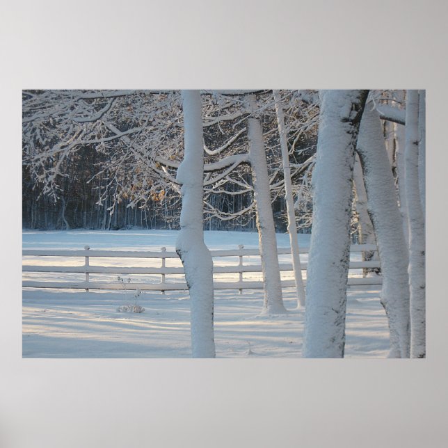 Winter Wonderland Poster (Front)