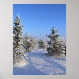 Winter Wonderland Poster