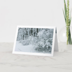 Winter Wonderland - Snow-draped foliage Holiday Card