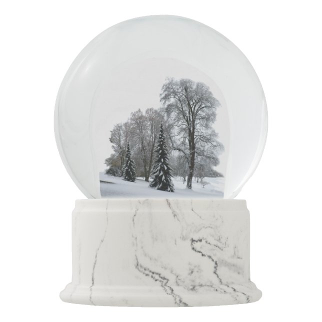 Winter Wonderland Snow Globe Snow Forest Snowglobe (Front)