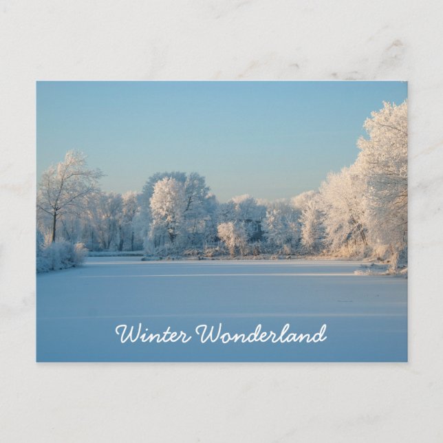 Winter Wonderland Snow Landscape Photo Postcard (Front)
