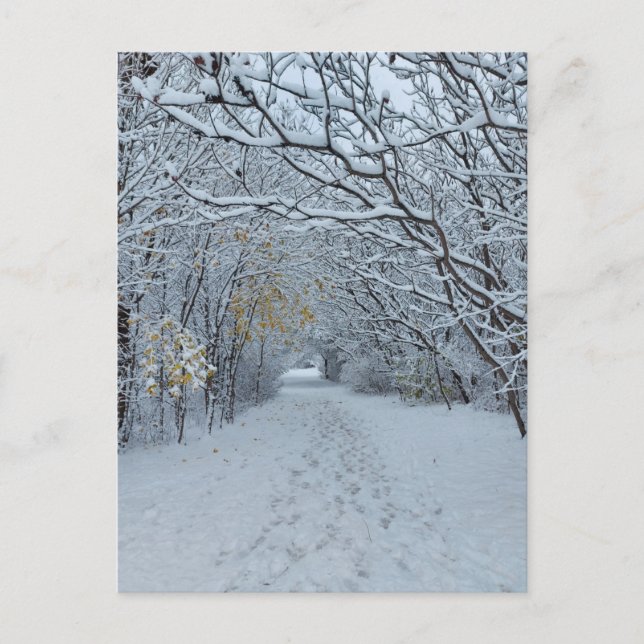 Winter Wonderland Snow Park Blank Card (Front)