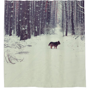 Winter Wonderland: Snowy Pine Forest