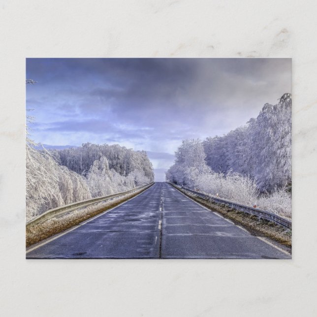 Winter Wonderland Travel Photo Postcard (Front)