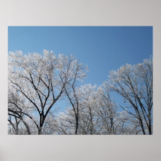 Winter Wonderland with Iced Trees Poster