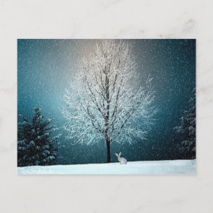 Winter Wonderland with Rabbit Postcard
