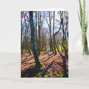 Winter woodland in France Holiday Card