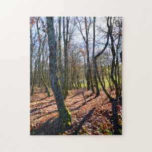 Winter woodland in France Jigsaw Puzzle