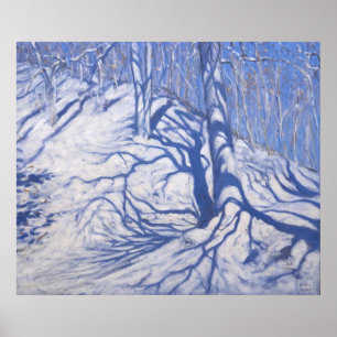 Winter Woodland near Courcheval 2008 Poster