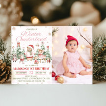 Winter Woodland Onederland Girl Birthday Photo