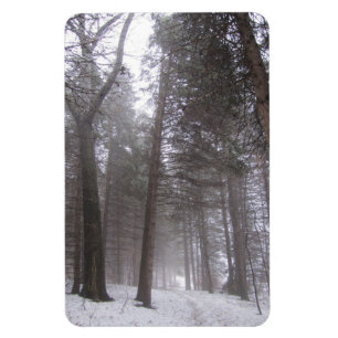 Winter woodland path magnet