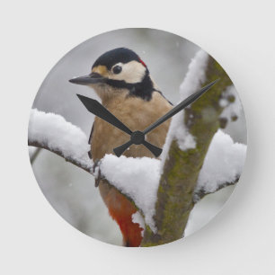 Winter Woodpecker Clock