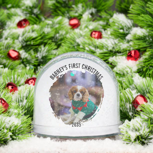 Winter Wreath Dog's Photo Christmas Snowglobe