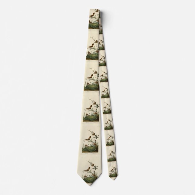 Winter Wren, Rock Wren, Audubon's Birds of America Tie (Front)