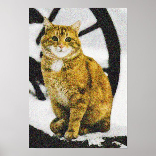 winter yellow artificial cat poster (Front)
