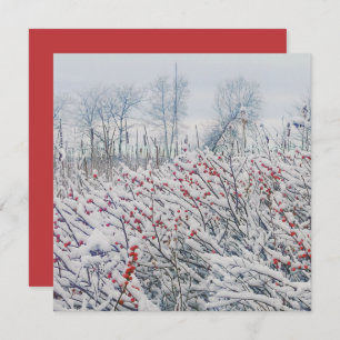 winterberry and cattails invitation