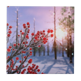 Winterberry dans la glace Carreaux décoratifs / T