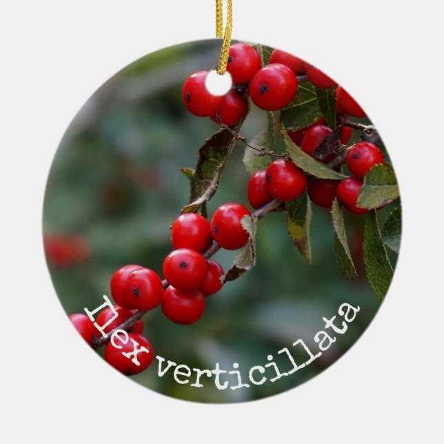 Winterberry Holly Botanical Ceramic Ornament (Front)