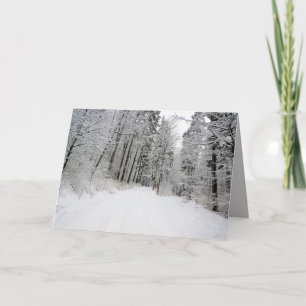 winterland greeting card