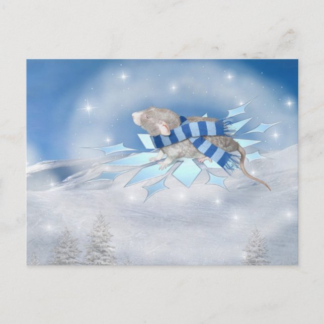 Winterland Journey Postcard (Front)