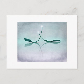 Winterlicht Postcard