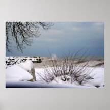 Winter's Beauty