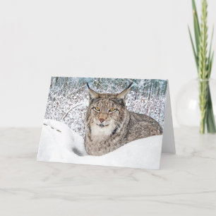 "Winter's Child" Greeting Card