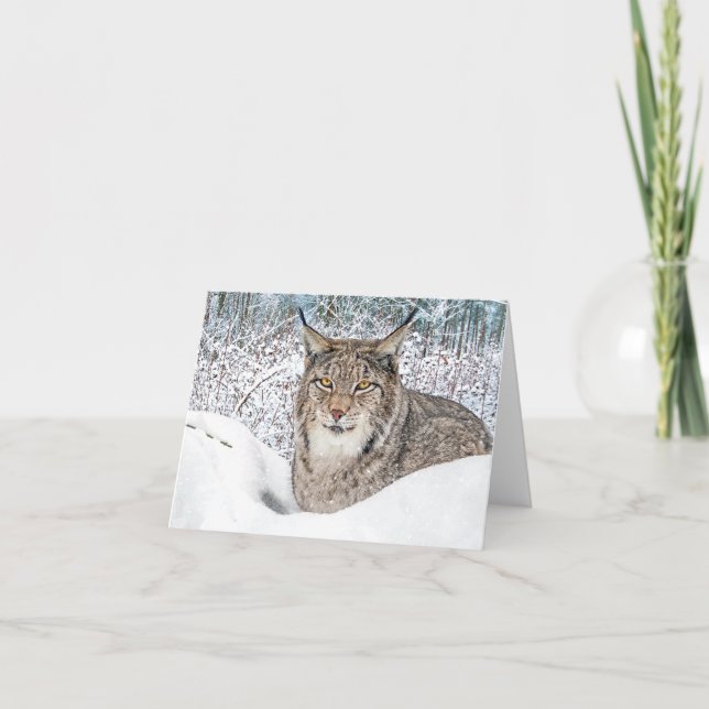 "winter's Child"  Note Card (Front)