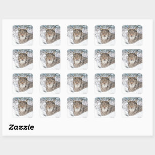 "Winter's Child"  Square Sticker
