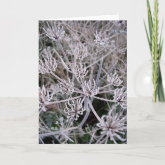 winters claws card