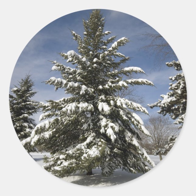 Winters Coming Classic Round Sticker (Front)