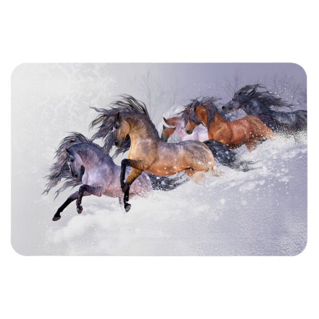 Winter's Flight Premium Flexi Magnet (Horizontal)