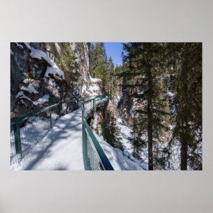 Winter's Frozen Beauty Path to Johnson Creek Upper Poster