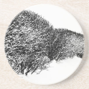 winter's hedge coaster