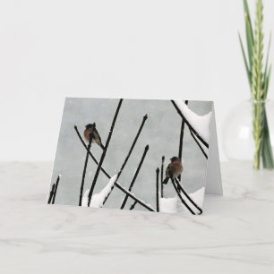 Winter's Hush Holiday Card