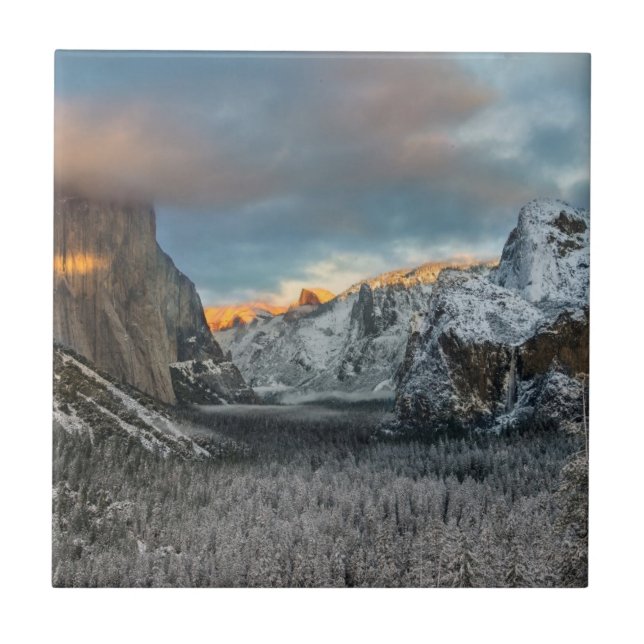 Winter's Mark Tile (Front)