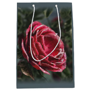 Winter's Parting Gift Gift Bag