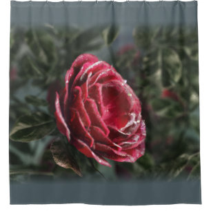 Winter's Parting Gift Shower Curtain