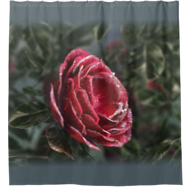 Winter's Parting Gift Shower Curtain (Front)