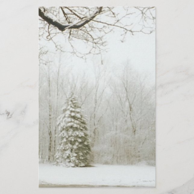 Winter's Trees (Front)