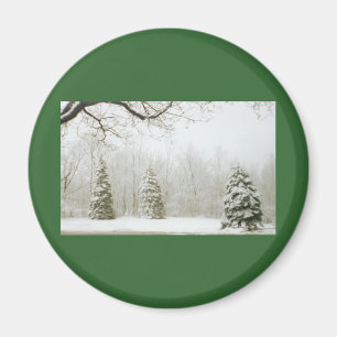 Winter's Trees Magnet