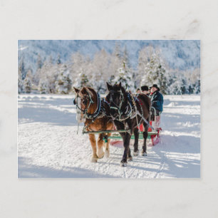 Winter's Wonderland Postcard