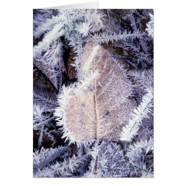 Winterscapes Card (Front)