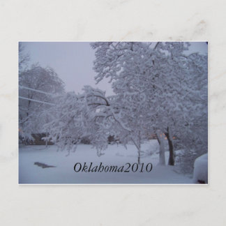 winterstorm2010 (oklahoma) postcard